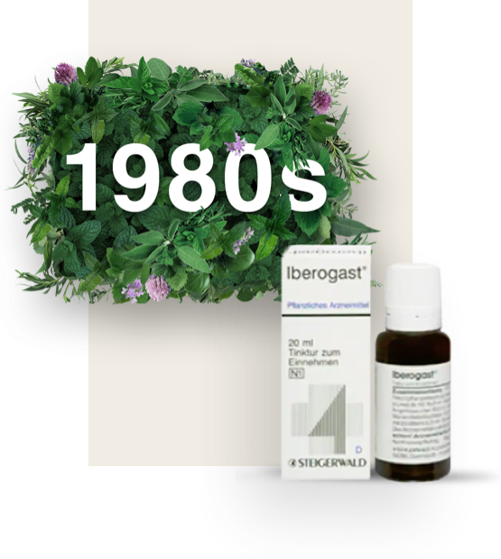 Date 1980s surrounded by leaves, grayish bottle of Iberogast with its matching packaging next to it.