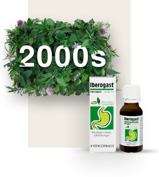 Date 2000s surrounded by leaves, white and green bottle of Iberogast with its matching packaging next to it.