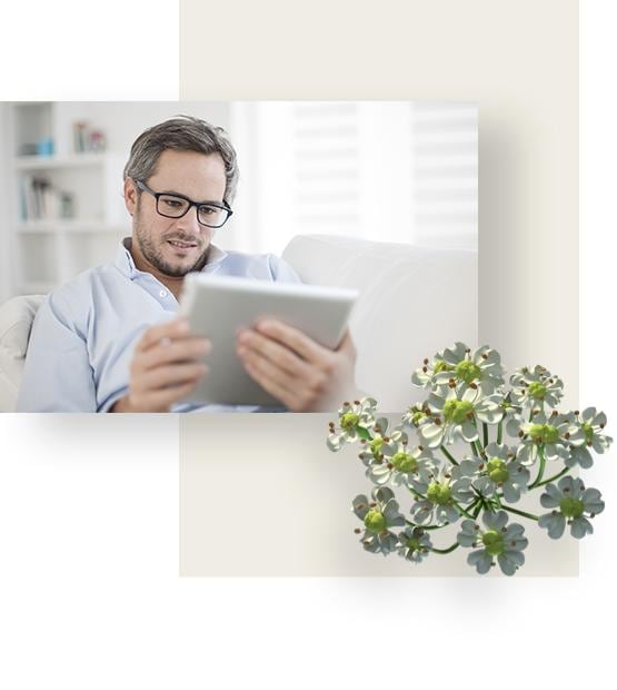 Man on a sofa is reading about Iberogast on his tablet.