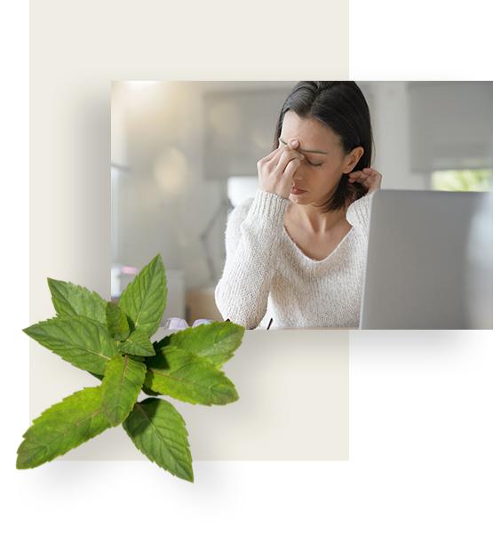 Woman suffering from flatulence in holding her forehead in pain, while sitting next to her computer.