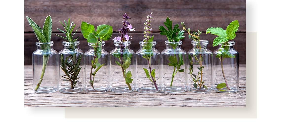 Twigs of herbs in glass jars, on a brown, stone-like background.