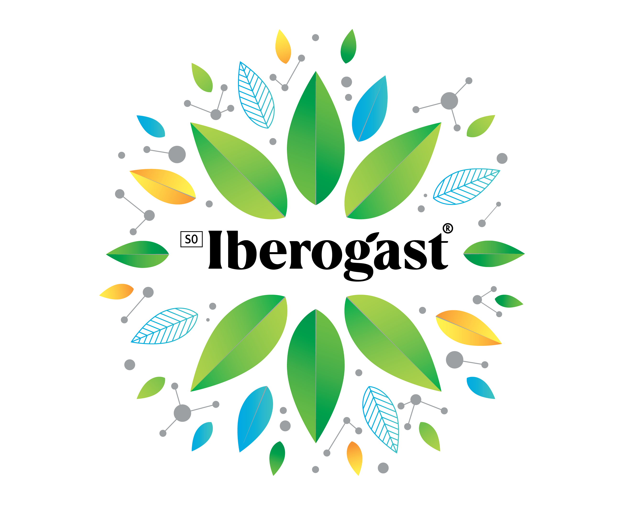 iberogast logo