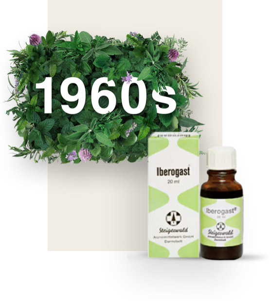 Date 1960s surrounded by leaves and old-fashioned bottle of Iberogast with its packaging next to it.