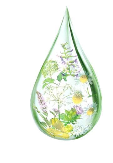 Graphic showing drop of liquid with images of herbs and flowers inside it.